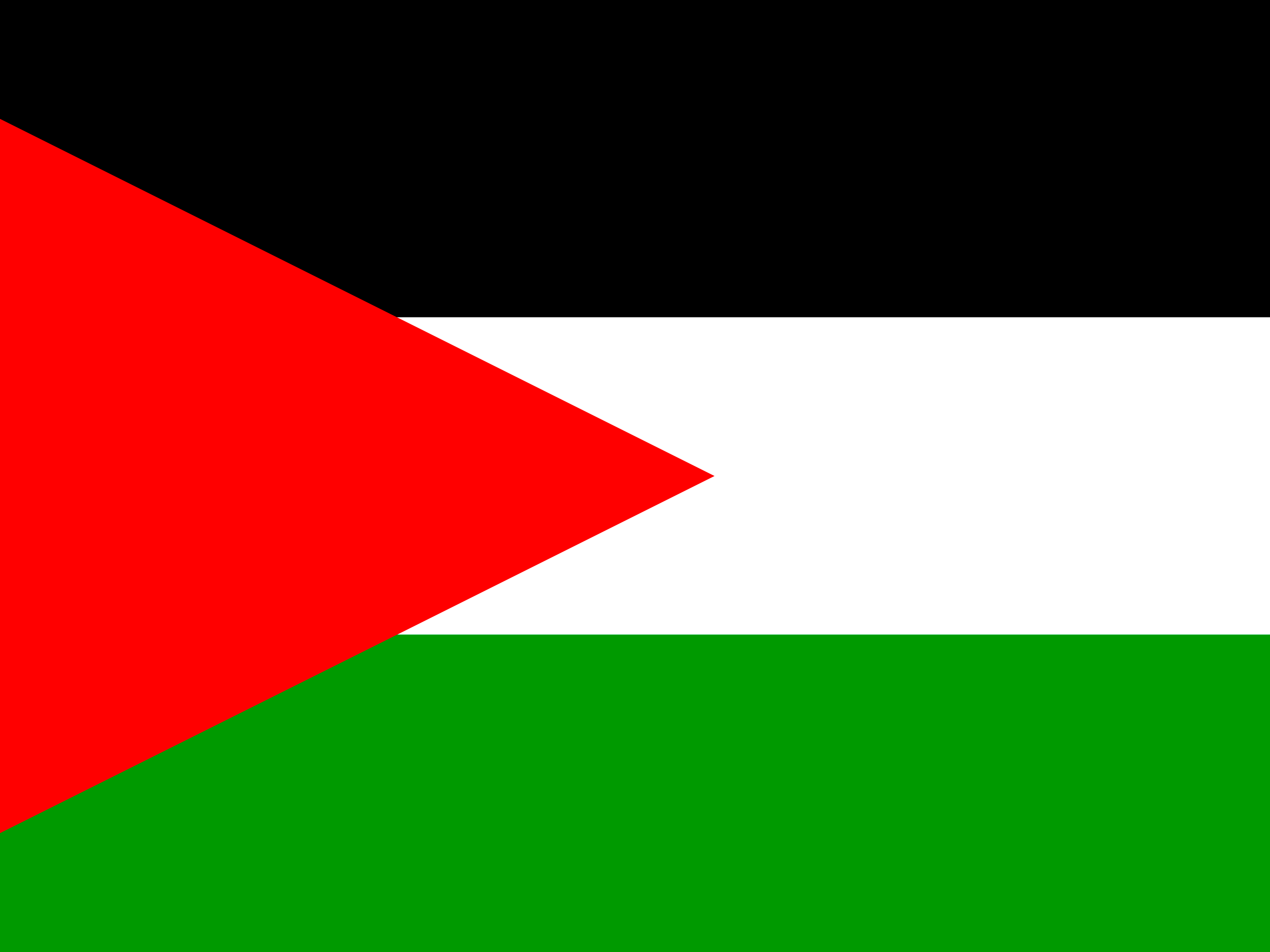 علم فلسطين